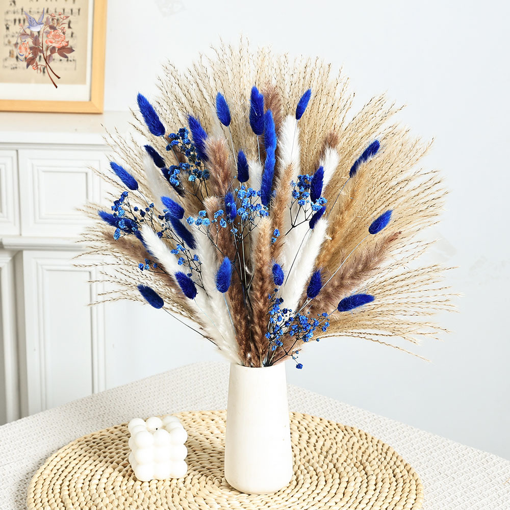 70 steli blu soffice coda di c - Pampas Grass Decor recensione e prezzo
