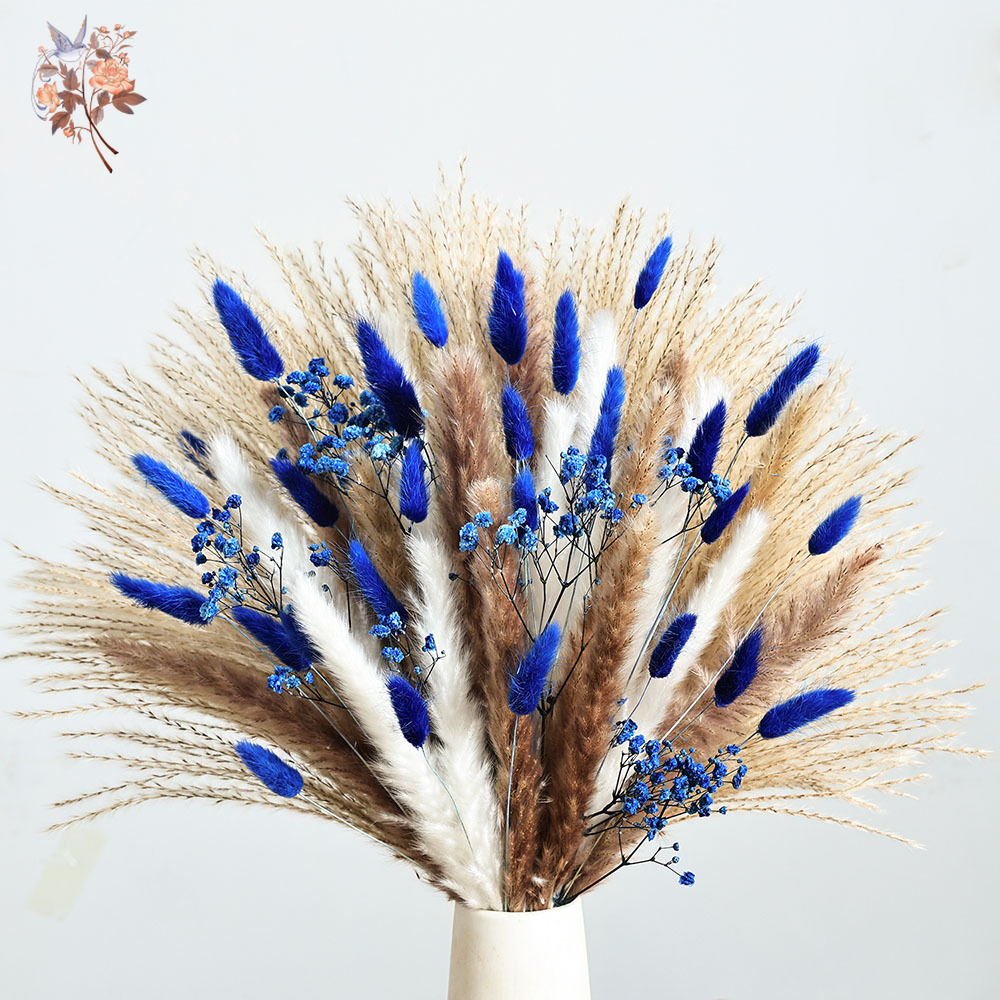 70 steli blu soffice coda di c - Pampas Grass Decor recensione e prezzo