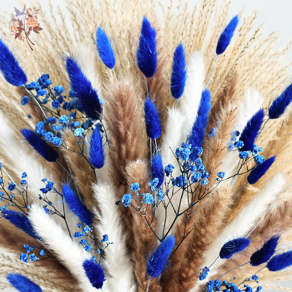 70 steli blu soffice coda di c - Pampas Grass Decor recensione e prezzo
