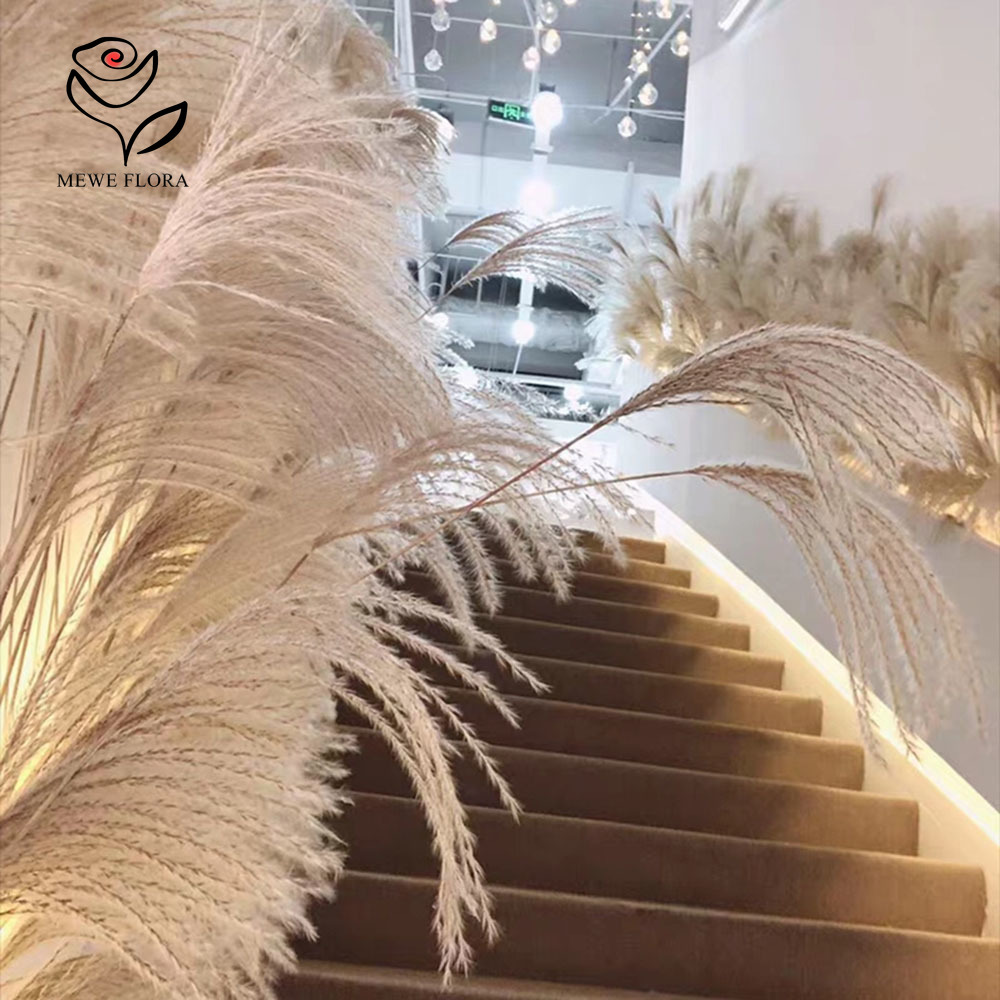 200 pezzi di rose soffici essi - Pampas Grass Decor recensione e prezzo
