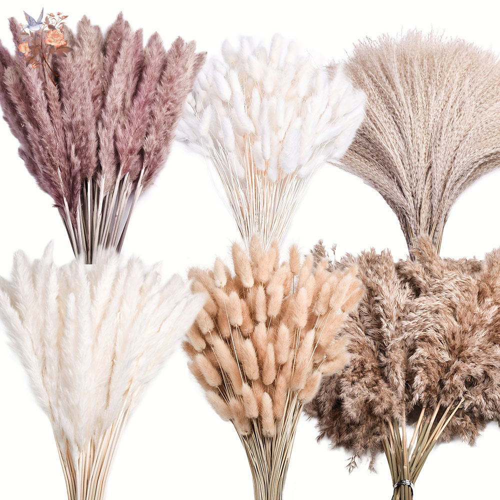320 Pezzi di Fiori Secchi Mist - Pampas Grass Decor recensione e prezzo