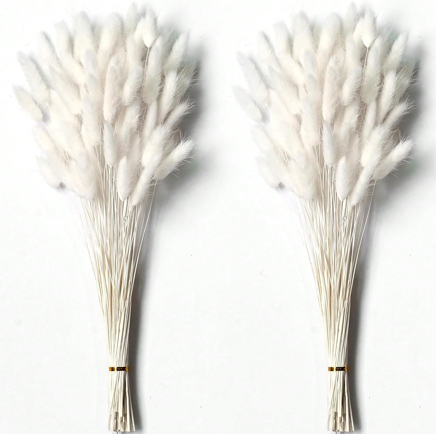 120 pezzi di erba di pampa ess - Pampas Grass Decor recensione e prezzo