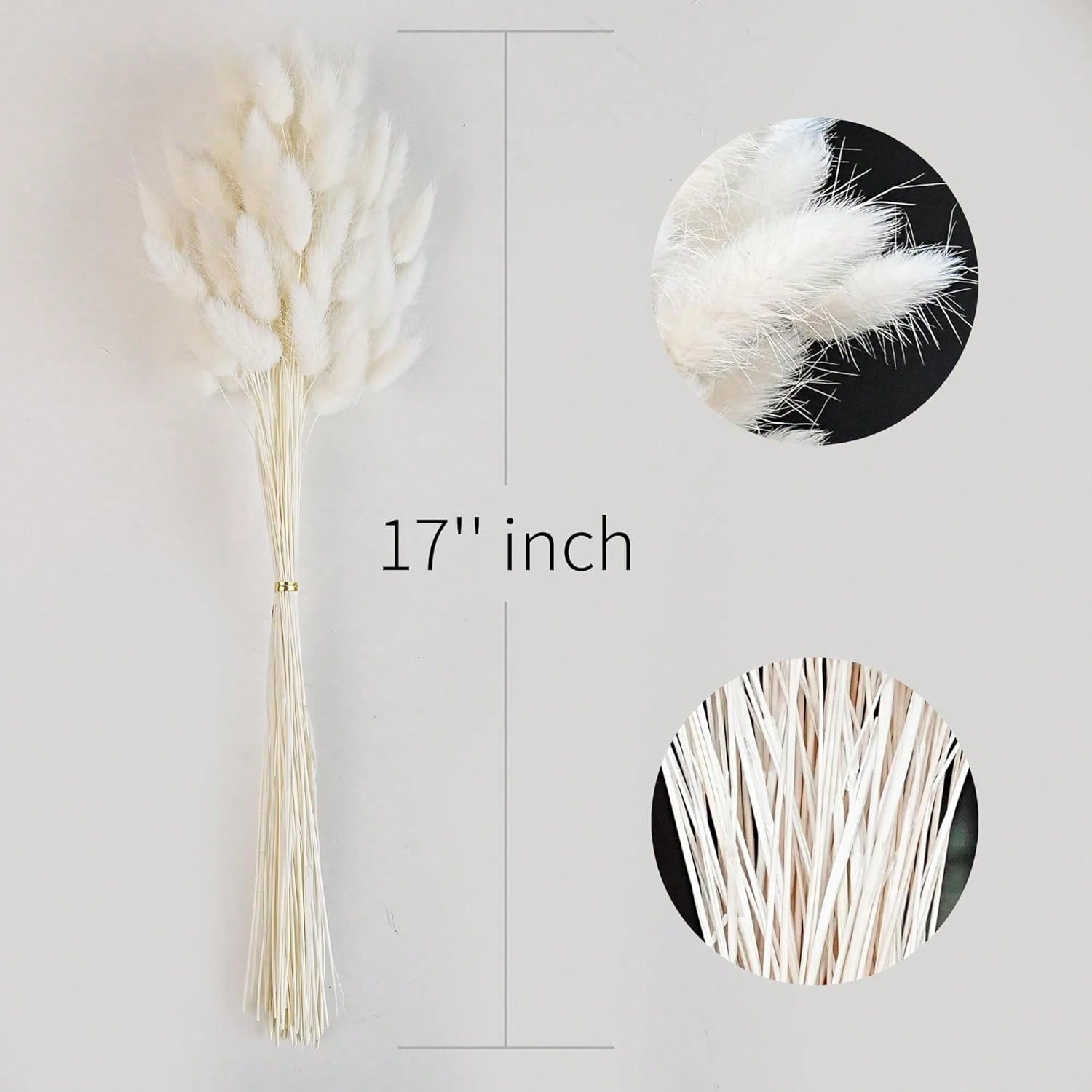 120 pezzi di erba di pampa ess - Pampas Grass Decor recensione e prezzo