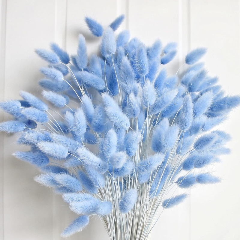 100 pezzi blu coda di lepre er - Pampas Grass Decor recensione e prezzo